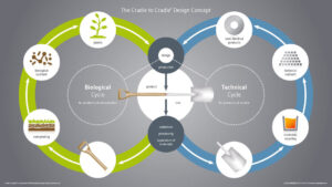 Green Power and the Circular Economy